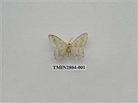 藏品(尺蛾394)的圖片